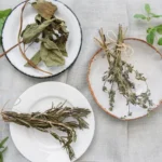 Storing Dried Herbs