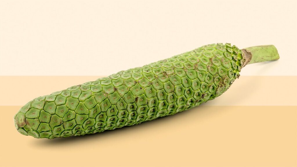 Monstera Deliciosa fruit